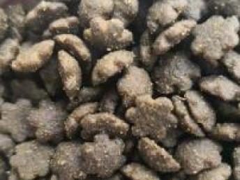 成都天然鮮肉狗糧罐頭源頭工廠 專業(yè)OEM貼牌代加工服務(wù)